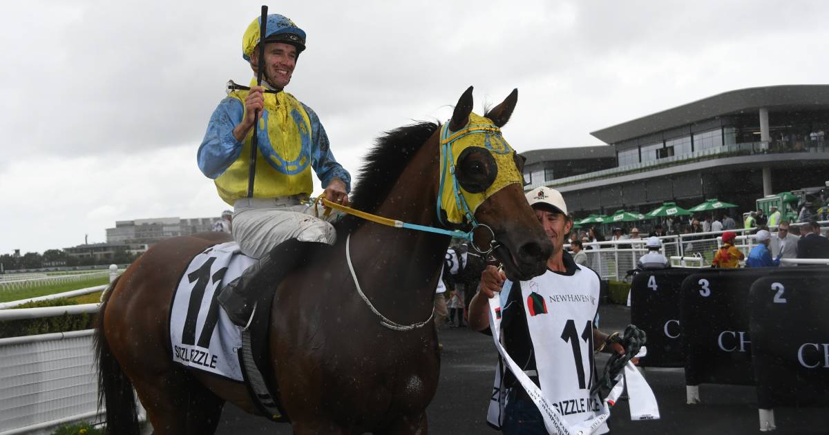 Brett Robb’s Sizzle Minizzle wins Country Championship Final at Randwick | The Land