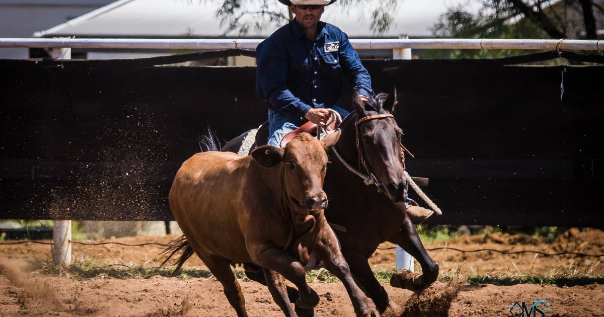 Burke & Wills birthday present for Goondiwindi campdrafter