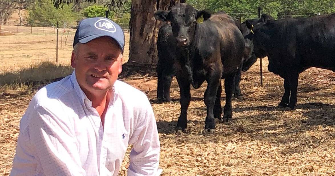 Fresh fraud charges laid against Riverina cattle breeder