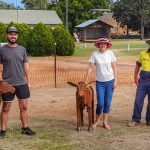 Dubbo Regional Council takes action against new erosion along Macquarie River | The Land