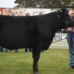 Future of farming on display at Bundaberg agtech showcase