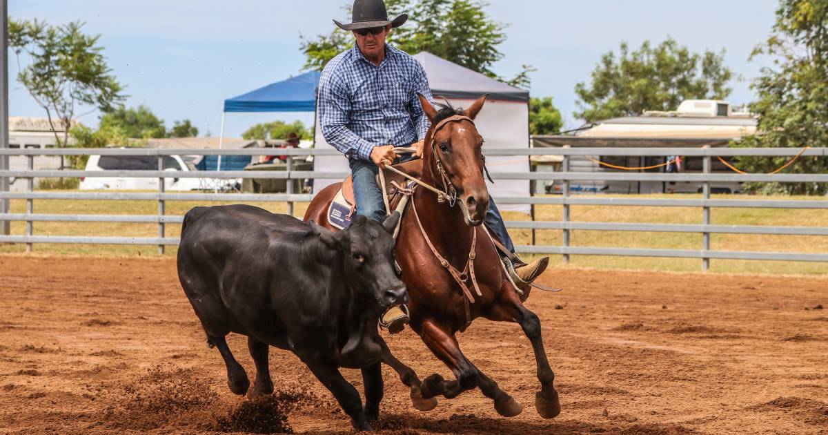 Australian Campdraft Association’s (ACA) National Finals wrap up with big names crowned | North Queensland Register