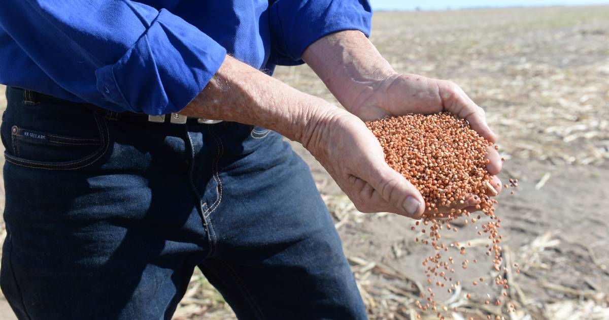 Impact of weather on planting progress will be primary driver for grain values | The Land