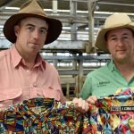 Brahman-type feeder and slaughter cattle copping big price penalties