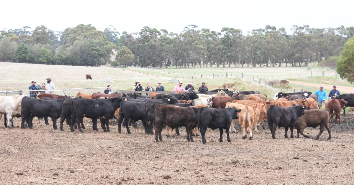 Field day provides Gate 2 Plate update