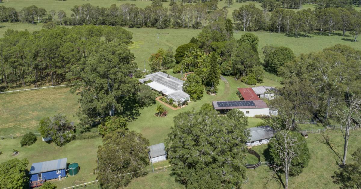 Morning Star delivers peace, character and charm | Queensland Country Life