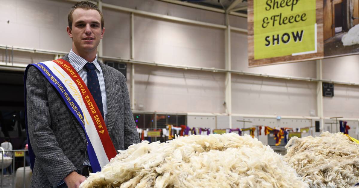 Barnes and Brown crowned young sheep and fleece judge champions at Sydney Royal