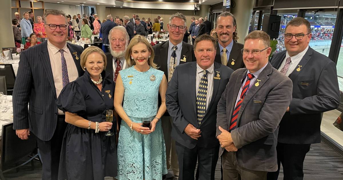 More winners, including merino champions, announced at Sydney Royal Show