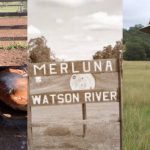 First domestic live-ex job gets NT cattle to WA abattoir