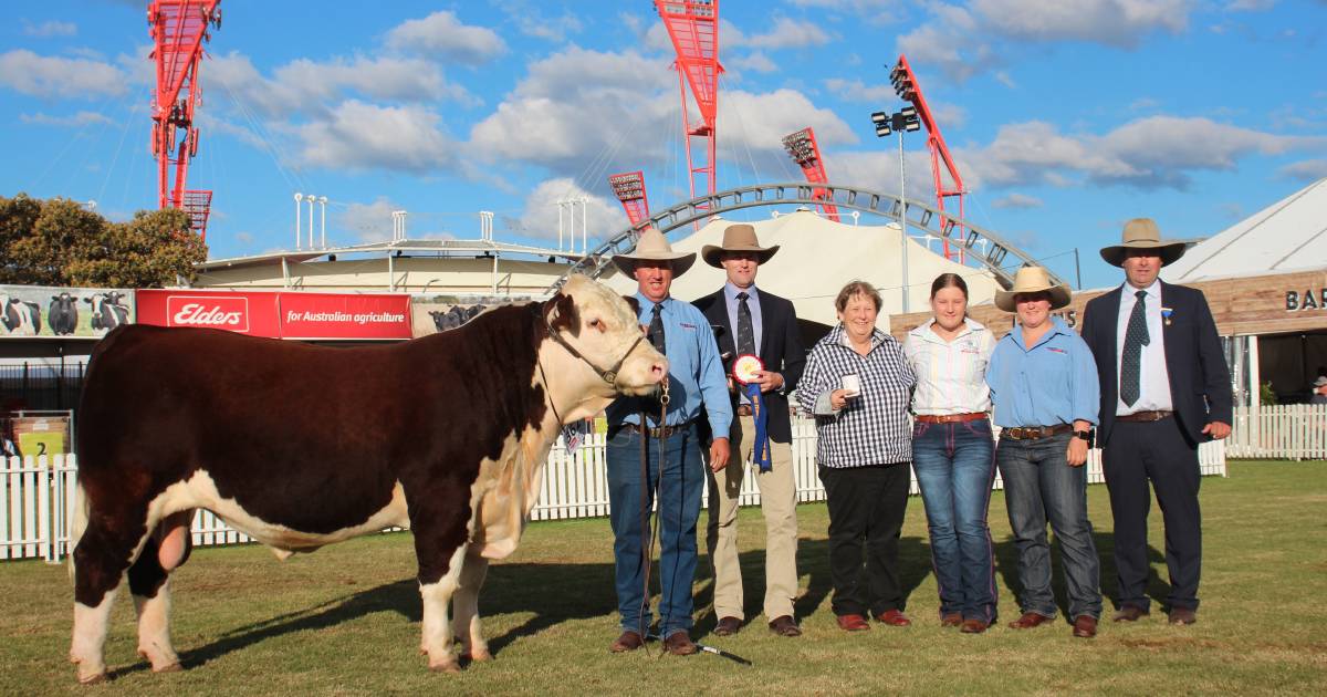 Sherlock takes best Hereford exhibit