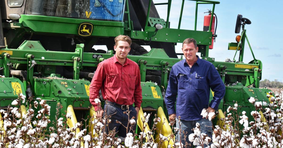 Emerald and Kilcummin district cotton growers harvesting high yielding dryland crop after ‘tough’ previous season | Queensland Country Life