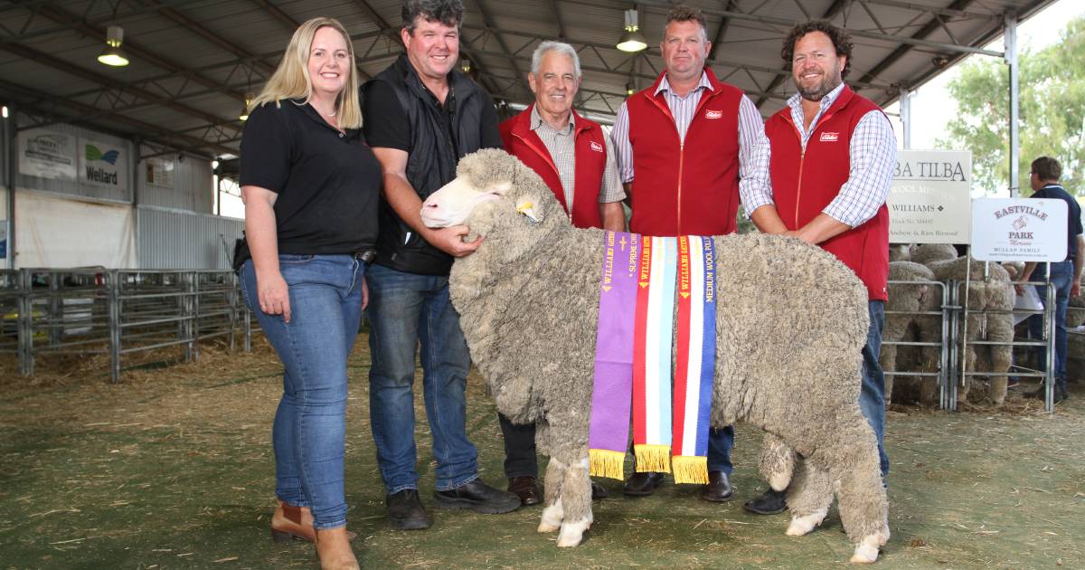 King family’s Rangeview stud, Darkan, takes out supreme Merino | Farm Weekly