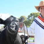 Australian Campdrafting Association AGM is a fruitful outcome for all