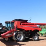 Why these graziers are planting trees to boost pasture productivity