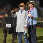 Sherlock takes best Hereford exhibit