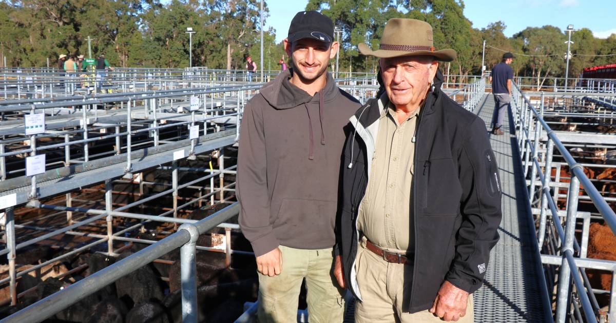 Average eases at Boyanup sale