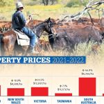 Demand for young cattle at Toowoomba