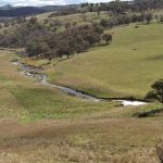 Man flown to hospital after colliding with dingo whilst mustering west of Mackay