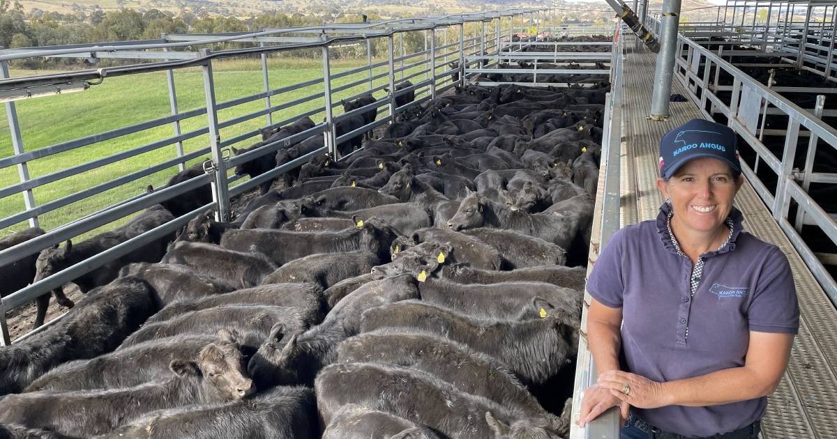 Weaner market gets big boost from wet weather | The Land