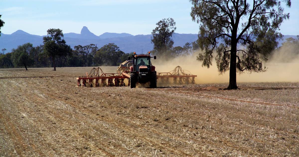 Grain farmers looking for planting rains | Queensland Country Life