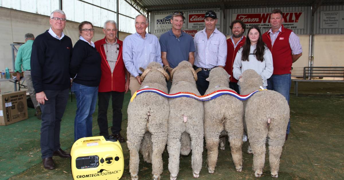 Tilba Tilba, Codji Springs win breeders’ group at Williams Gateway Expo | Farm Weekly