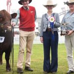 Cann Valley Australian Lowlines takes out Sydney Royal best exhibit | The Land