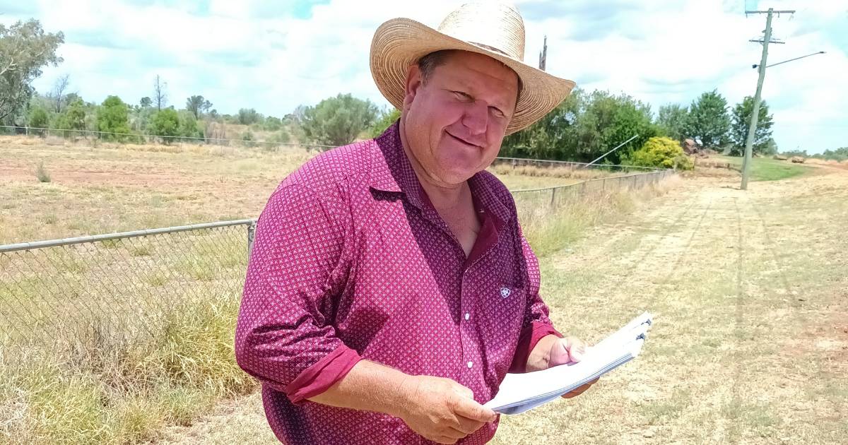 More wild dog fencing coming to rural Queensland