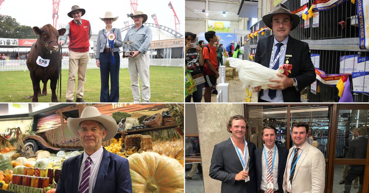 It's been a huge start to Sydney Royal, find out what's happened