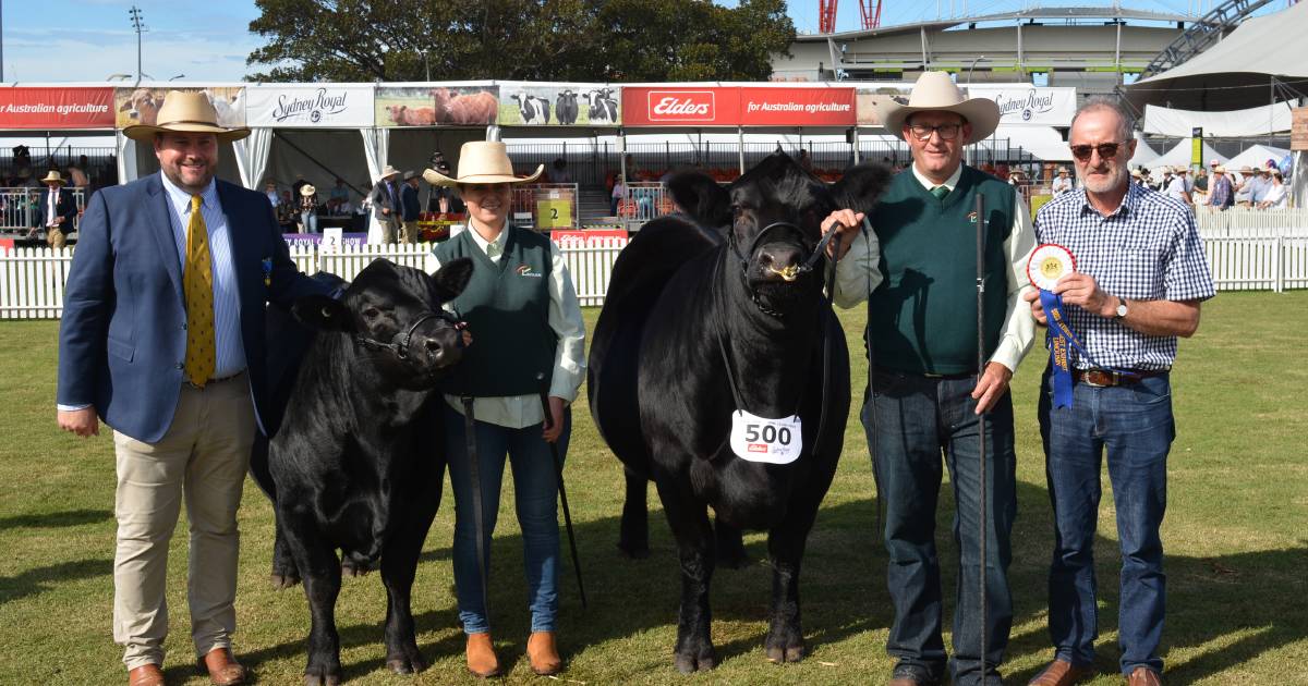 My Fair Lady takes out top Limousin award