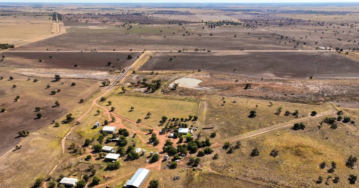 Highly productive Armatree country on the market