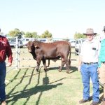 'Power of community': Mount Isa Hospital receives welcome donation