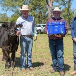 Eight-year-old Charolais cow best exhibit at Sydney Royal cattle show