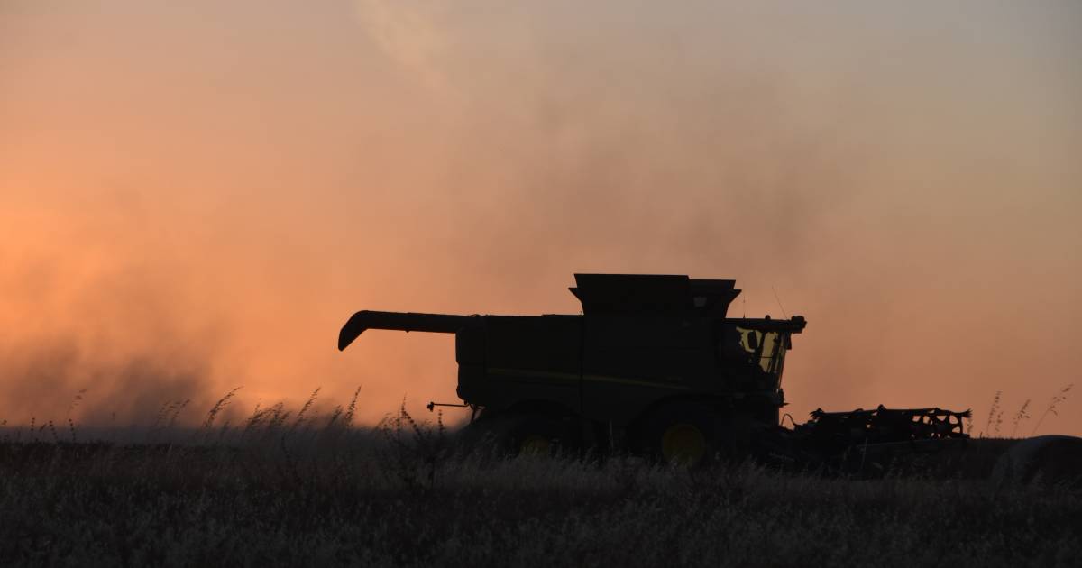 Grains: Aussie ag’s quiet achiever | The Land