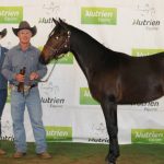 Delta Ag WA Youth Cattle Handlers Camp held at Brunswick Showgrounds | Farm Weekly