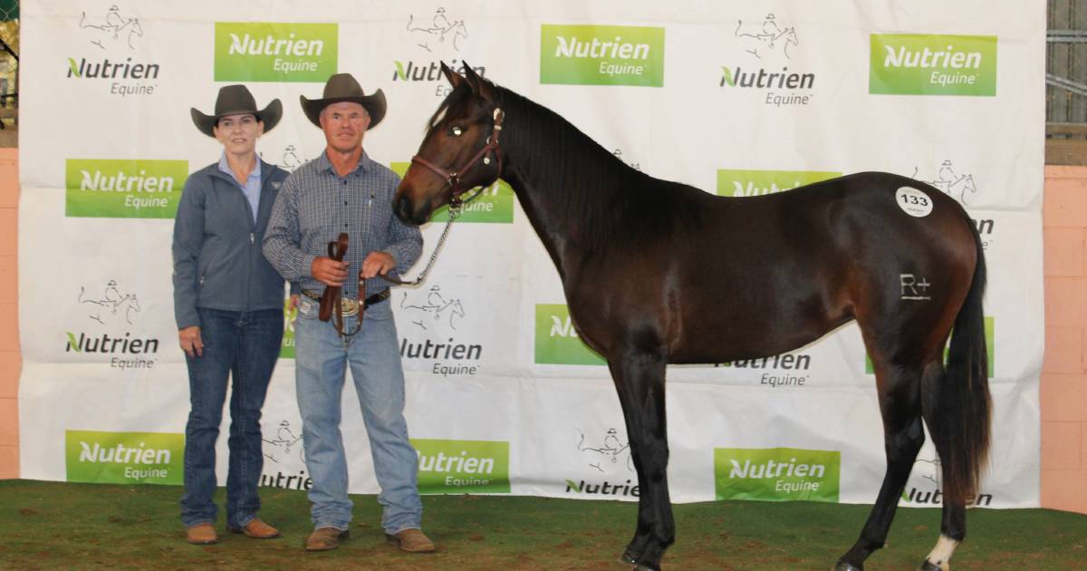 'Shirley goes to Congress' tops day two at Nutrien Supreme