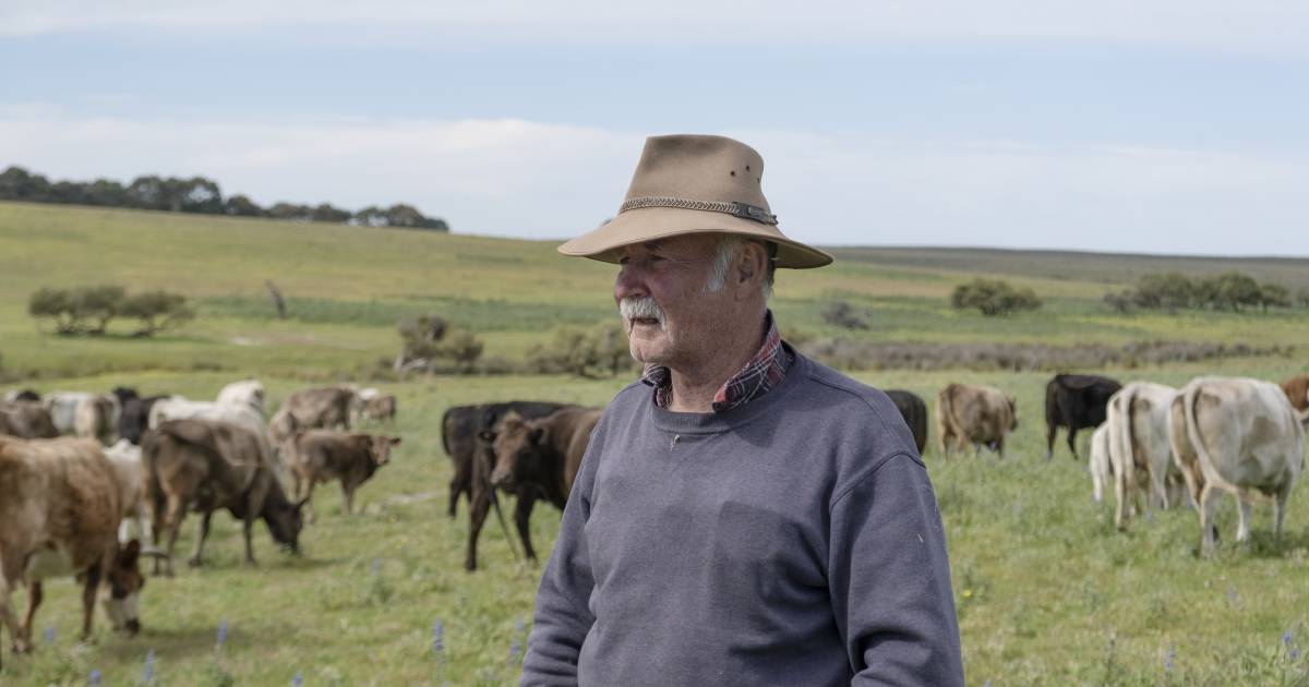 Uralla farmer sees the future with new climate tool