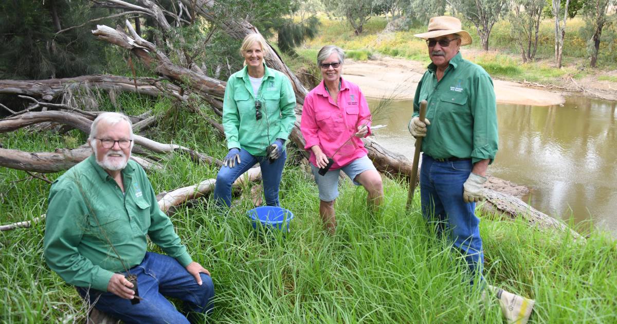 More trees could make Macquarie-Wambuul River more resilient during floods | The Land