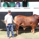 Longreach Pastoral College sold for $12.4m as AAM consortium misses out