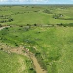 South Burnett farmers witness dry growing conditions for summer sorghum