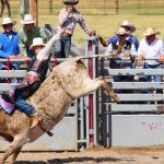 Call for rethink on Inland Rail after 'extraordinary' cost blowout