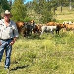 Mordallup Angus sale peaks at $30,000