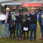 Red Cactus claims Red Poll breed judging