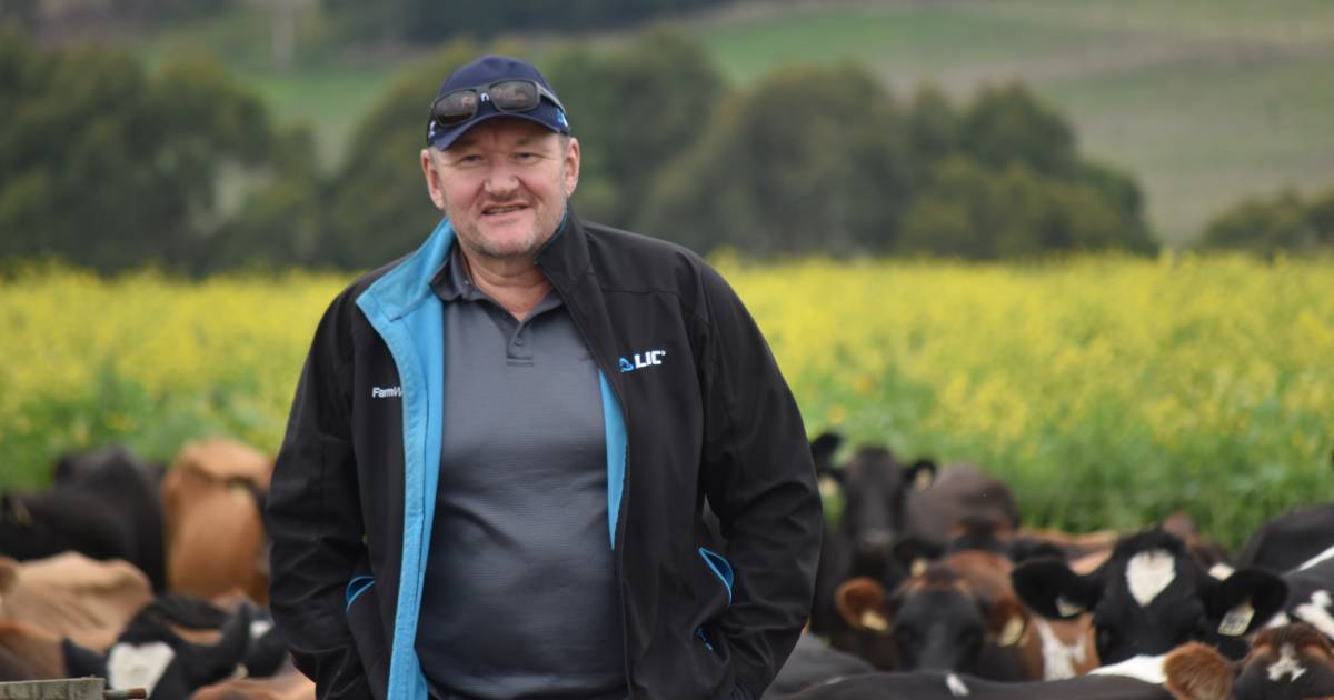 Australian farmers show more interest in flexible milking options | The Land