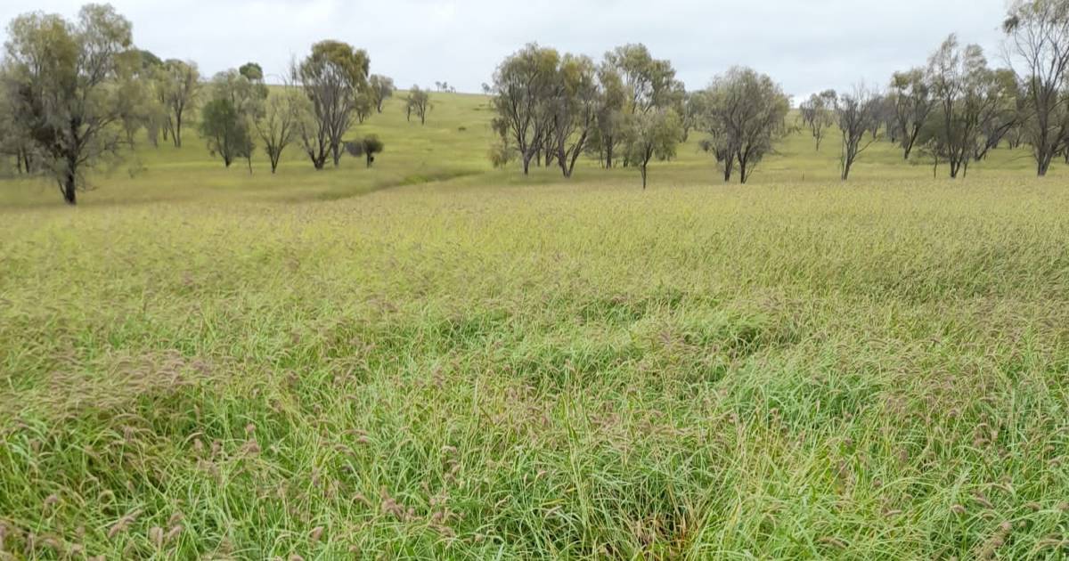 Premier mixed farming operation on the market