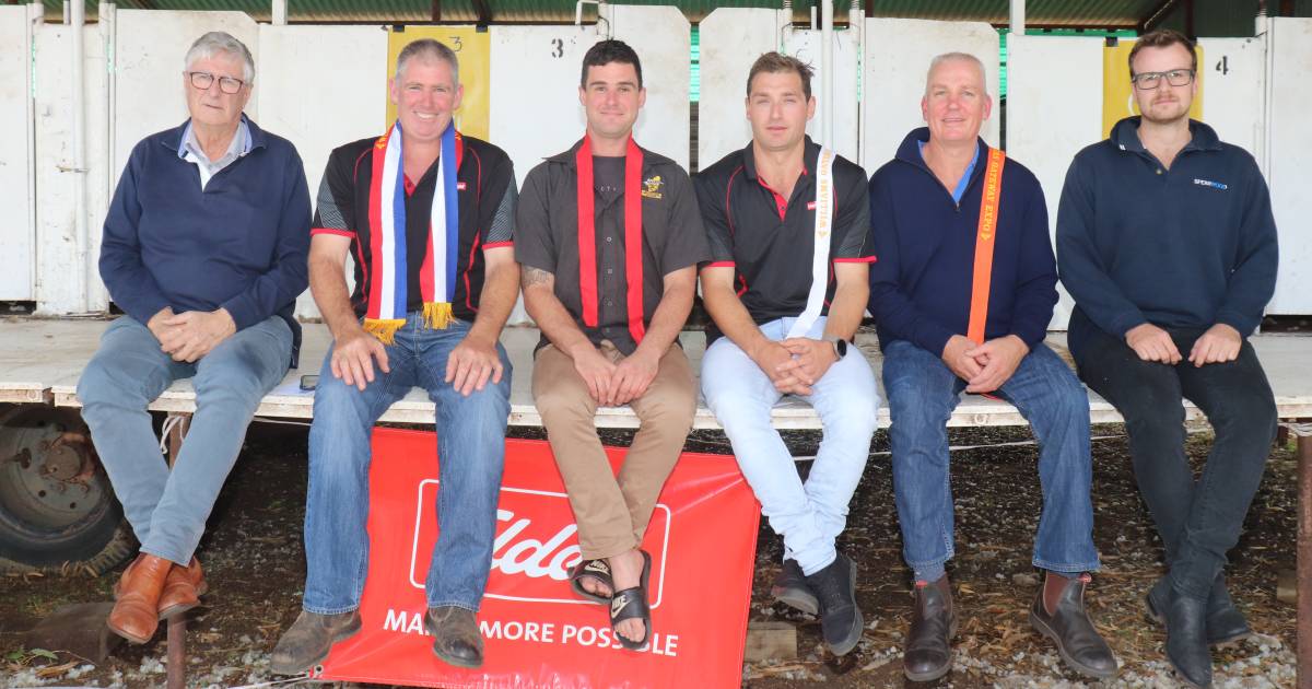 Spearwood Wool Expo Shears competition showcased talent | Farm Weekly