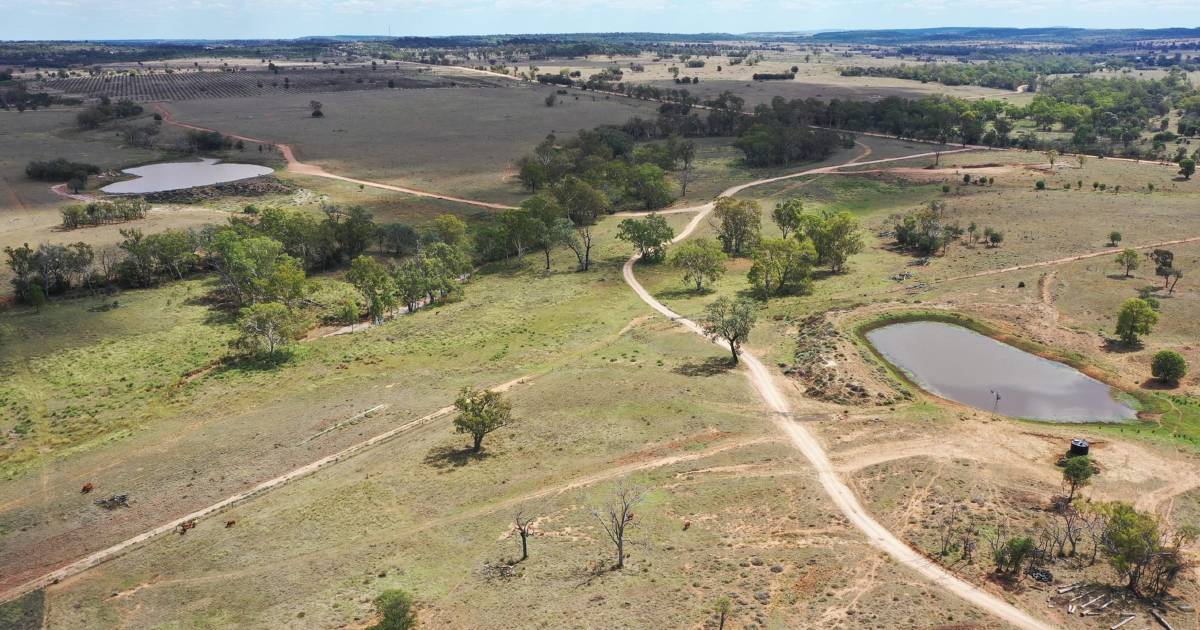 Outstanding cattle growing and fattening property