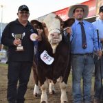 Grathyln, Merryville and Shalimar standout at Sydney Royal