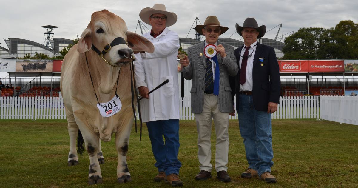 Whitaker Brahmans cruises to victory at Sydney