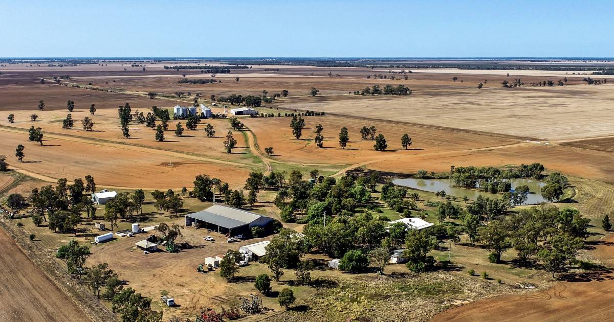 Prime farming opportunity in the Macquarie Valley