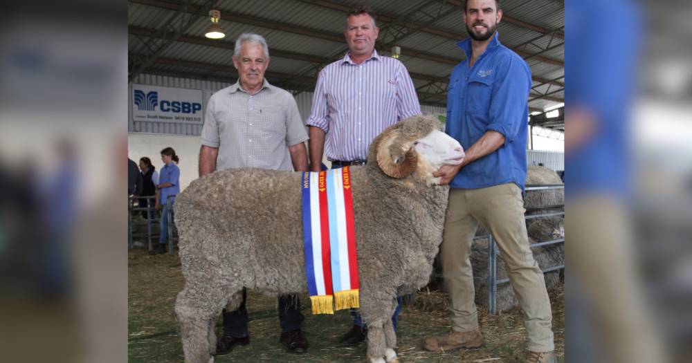 Wililoo and Tilba Tilba studs recieve top honours at Williams Gateway Expo | Farm Weekly